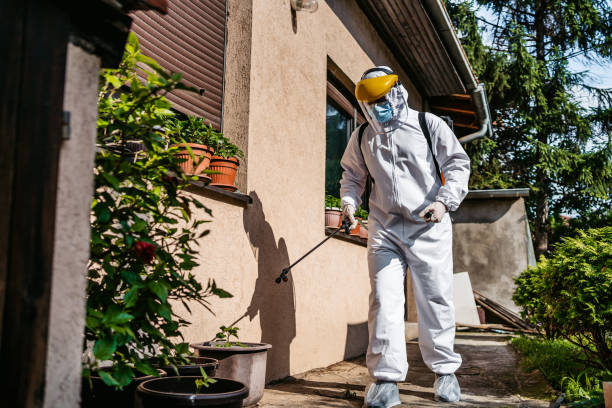 Best Spider Control Near Me  in Kendall Park, NJ
