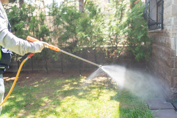 Spider Control Near Me in Kendall Park, NJ