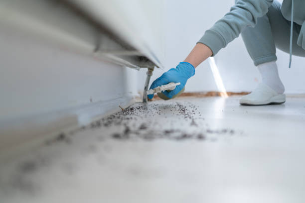 Best Pest Removal Services  in Kendall Park, NJ